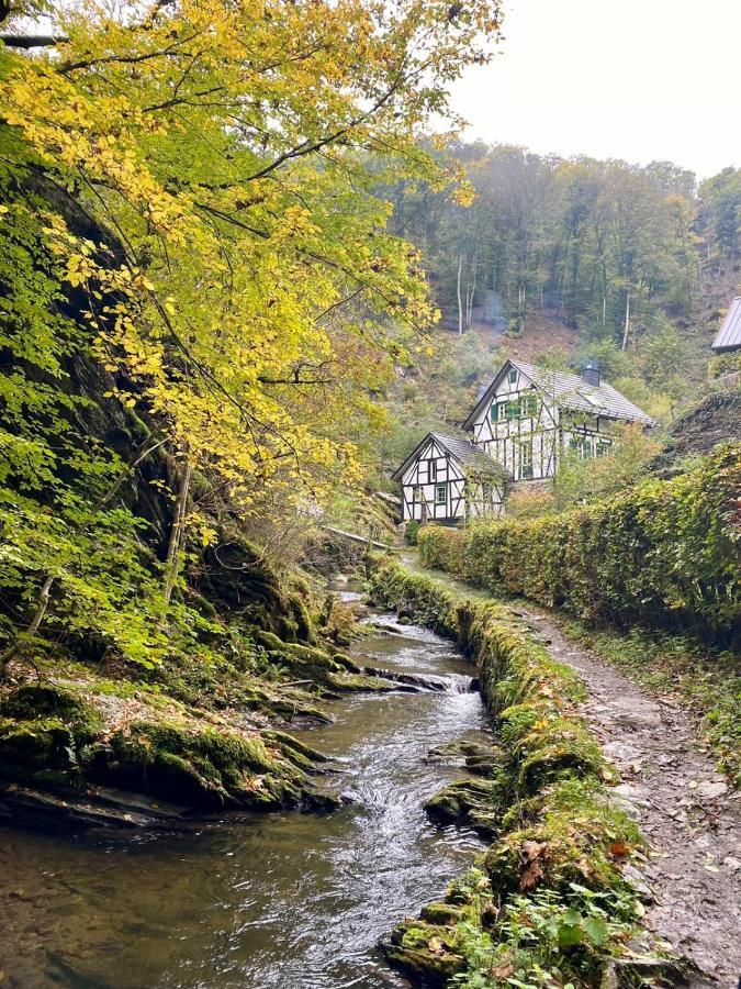 Haus Von Hoegen Commune fusionnée de Cochem-Land Extérieur photo